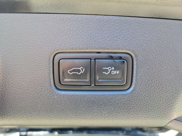 2025 Kia Carnival SX